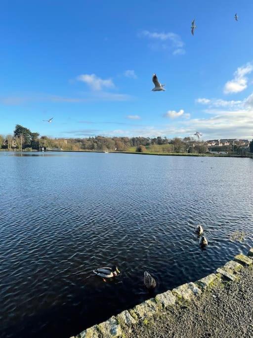 Willa Charlemont House Bessbrook Zewnętrze zdjęcie